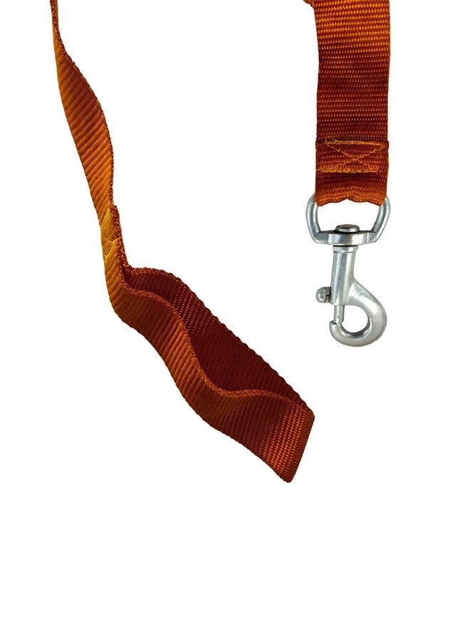 DIY Crafts Pack of 3 Pcs, Orenge, Collar Belt Chain & Leash for Puppies, Dogs (Pack of 3 Pcs, Orenge) - Image 4